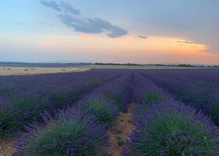 La Tuiliere 3* Oraison